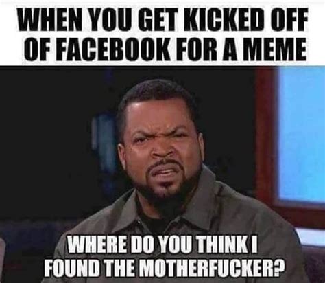 Getting kicked off FB for a meme you found on FB | Sarcastic quotes, Sarcastic quotes funny ...