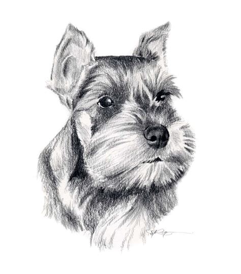 MINIATURE SCHNAUZER chien dessin impression dArt par | Etsy