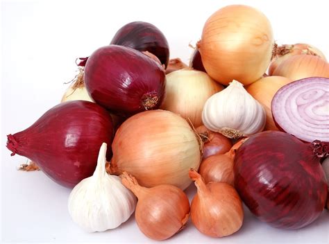 Can eating allium vegetables protect against bowel cancer? - VIVA! Communications