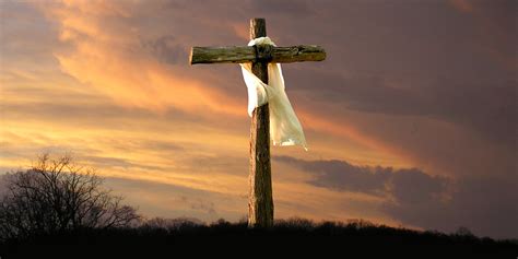 What kind of wood was the Cross of Christ made of?