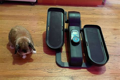 Under-desk elliptical vs. mini stepper: Which should you buy?