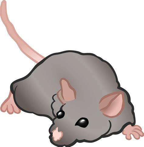 Free Clipart Of A mouse