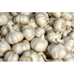 Fresh Garlic Storage Service at best price in Surat by Krishna Agro ...