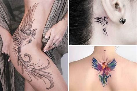 Phoenix And Lotus Flower Tattoo Meaning | Best Flower Site