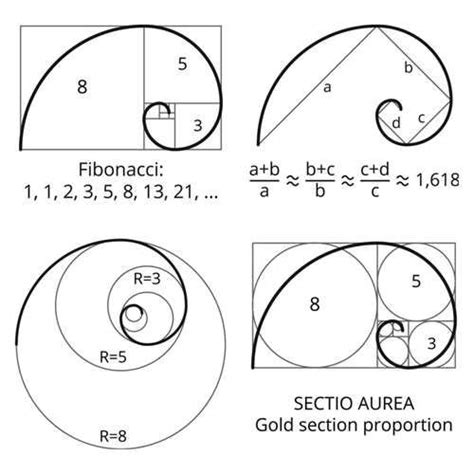 golden spiral | Geometry art, Sacred geometry art, Golden ratio