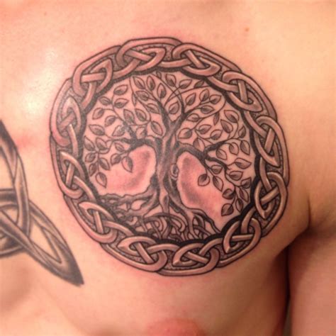 Celtic tree of life tattoo | Celtic tree tattoos, Life tattoos, Tree of life tattoo