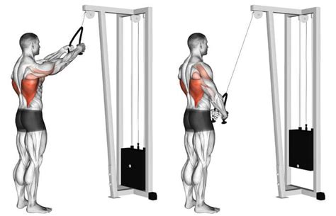 Straight arm pulldown, Shoulder workout, Workout