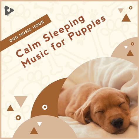 Calm Sleeping Music for Puppies อัลบั้มของ Dog Music Hour Music For ...