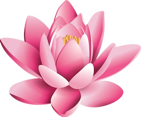 Lotus PNG Transparent Images - PNG All