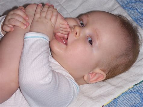 File:Baby-first teeth.jpg - Wikimedia Commons