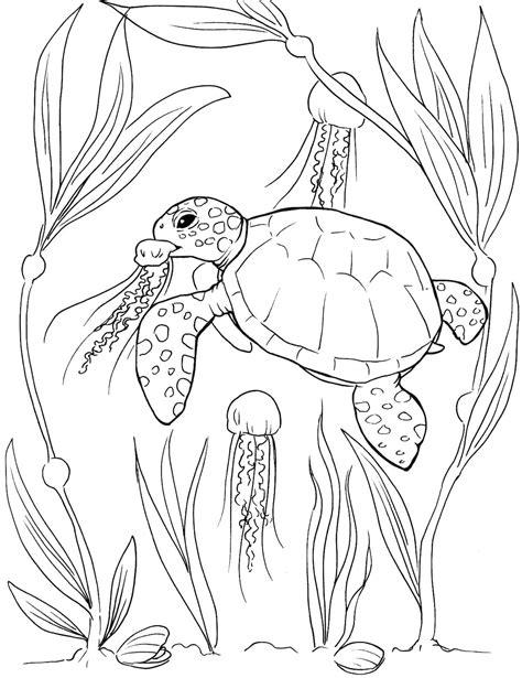 Sea Turtle Coloring Pages - Etsy