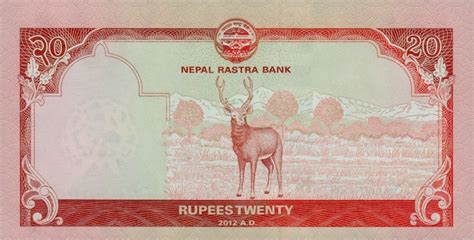 RealBanknotes.com > Nepal p71: 20 Rupees from 2012