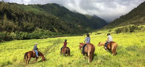 Makani Olu Ranch - Horseback Riding, Trail Rides