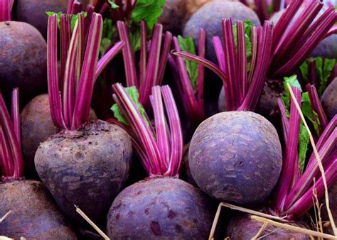 Top 10 Best Beetroot Brands - Healthtrends