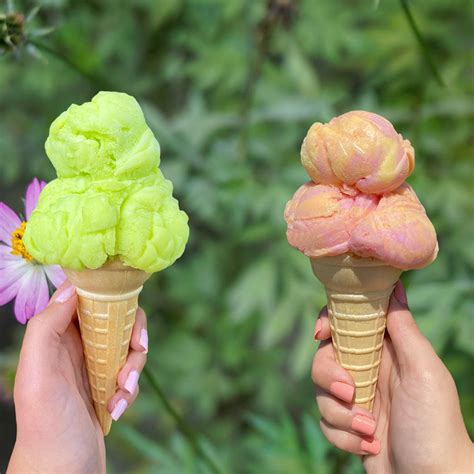 Sherbet vs. Sorbet - What's The Difference? – Central Smith Ice Cream