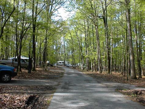 Newport News Park Campground | The Dyrt