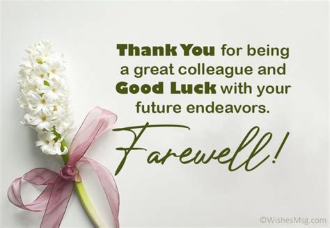 100+ Farewell Messages For Colleagues & Coworkers