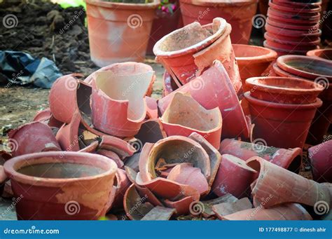 Clay Flowerpot in the Nursery Plant Tree / Terracotta Pots for Garden Plants and Flowers ...