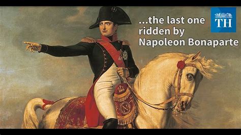 Napolean Bonaparte's last horse - YouTube