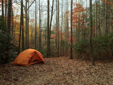 Campers Share Their 9 Favorite Campgrounds in North Carolina | Camping in north carolina, Pilot ...