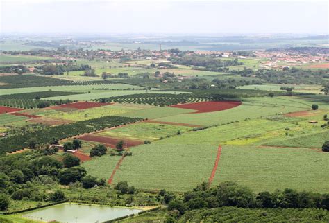 Vista aérea da Região Metropolitana de Campinas - Portal Embrapa