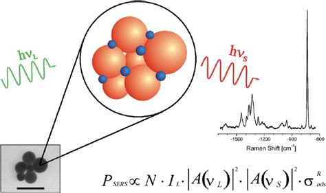 Schematic of surface-enhanced Raman scattering (SERS). Molecules ( blue... | Download Scientific ...