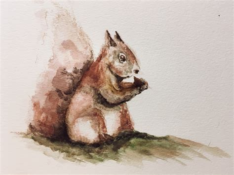 Red Squirrel Art Painting Squirrel Picture Original Art - Etsy