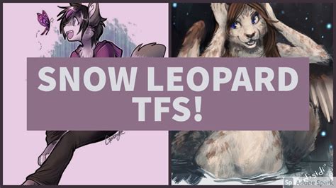 🐆 REQUESTED! :3 - Snow Leopard TFs / Snow Leopard TF TG 🐆 - YouTube