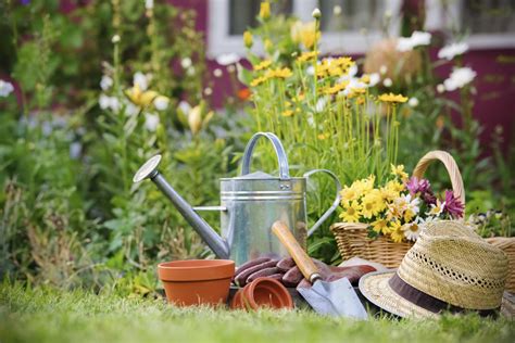 Gardening, Gardening Basic, #9645