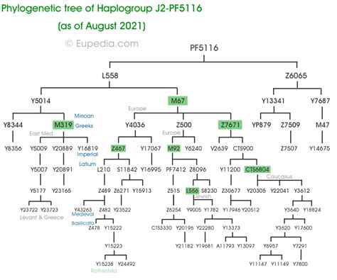 Haplogroup J2 (Y-DNA) - Eupedia