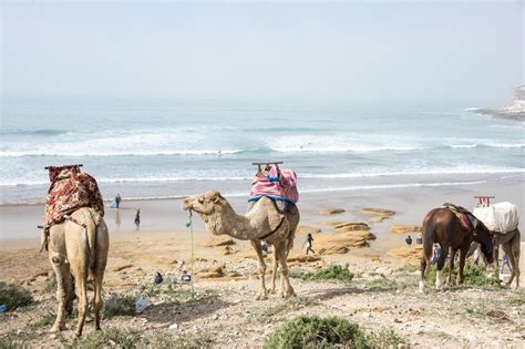 The 10 Best Taghazout Beach Tours & Tickets 2021 - Agadir | Viator