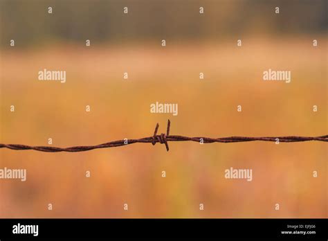 Barb wire fence Stock Photo - Alamy