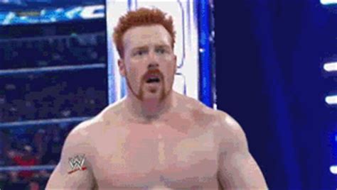 Sheamus brogue Kick to Referee