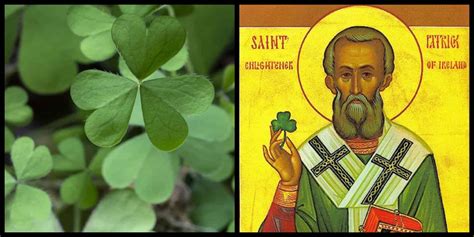 10 facts about the shamrock you probably never knew ☘️