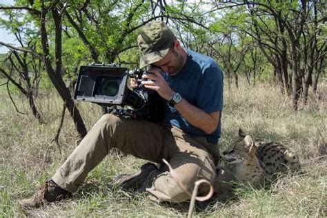 Big Cats documentary reveals amazing survival story of species that has evolved over 11 million ...