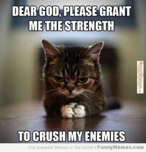 101 "You Can Do It" Memes for Those Times When You Need Inspiration | Funny cat memes, Funny ...