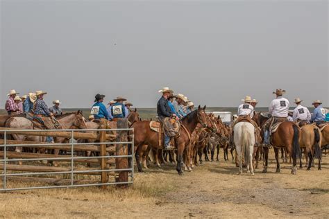 Ranch Rodeo Ramblings in Southern Alberta from behind the camera