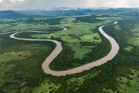 Palo Verde National Park Tour from Guanacaste - Civitatis.com