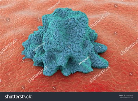White Blood Cell Leukocyte Macrophage Monocyte Stock Illustration ...