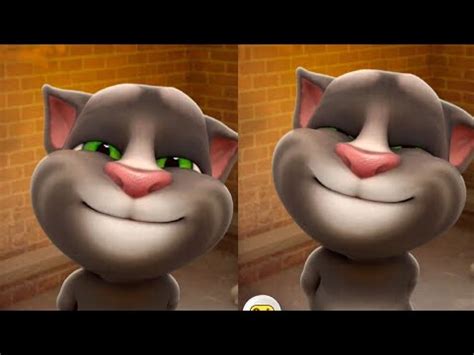 tom cat funny moments - YouTube