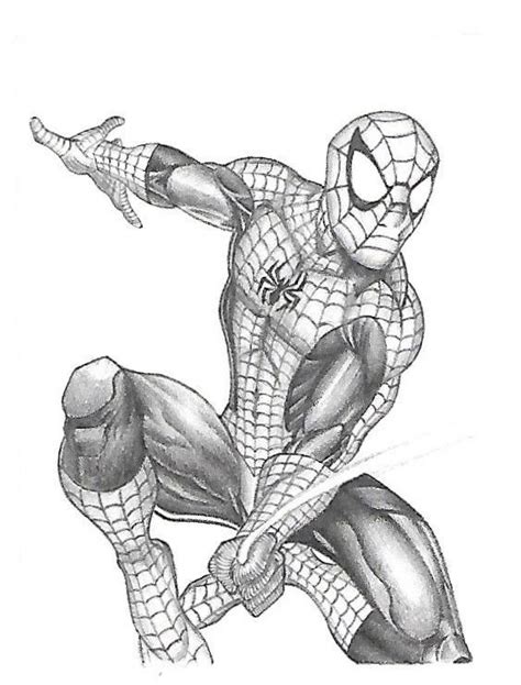 Spider-Man sketch card by Max (done in pencil), in James Posey's ...