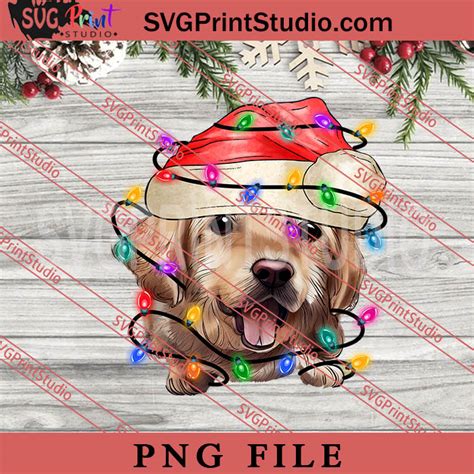 Golden Retriever Christmas Tree Lights PNG, Merry Christmas PNG