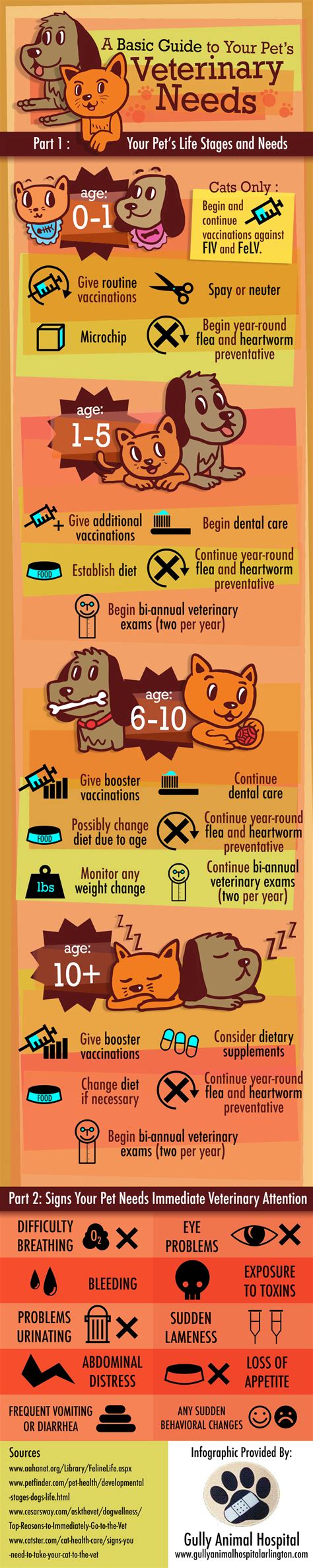 Your-Pets-Veterinary-Needs-Infographic A great guideline for your pets whole life. Cat Care Tips ...