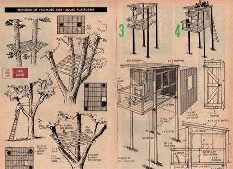 Free Treehouse Plans For Adults - House Decor Concept Ideas