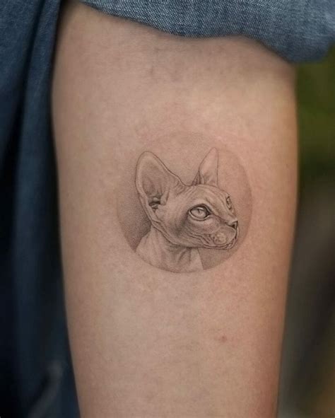 101 Best Sphynx Cat Tattoo Ideas You Have To See To Believe!