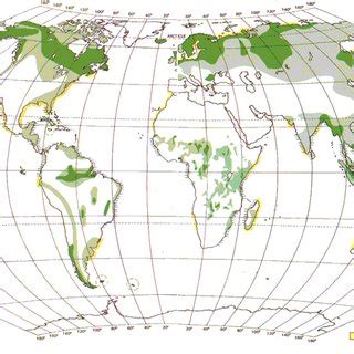 6: The peatland carbon cycle: atmospheric CO 2 is incorporated via... | Download Scientific Diagram