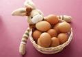 Easter bunny with a basket of brown eggs Creative Commons Stock Image