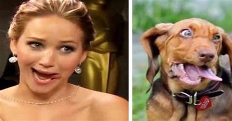 Several amusing images of the cute dogs imitating human facial expressions or the opposite ...