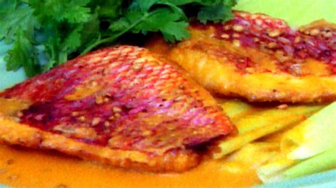 Pan Fried Red Snapper Fillet Recipes - Recipe Choices