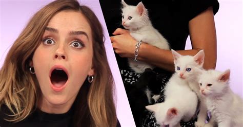 We Interviewed Emma Watson While She Played With Kittens And It Was Absolutely Adorable